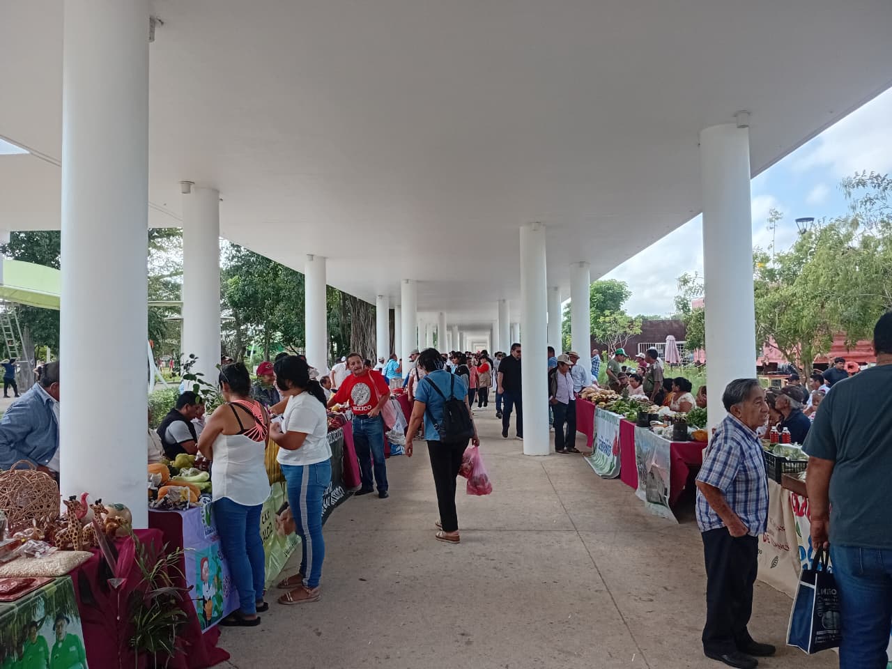 MERCADO RENACER